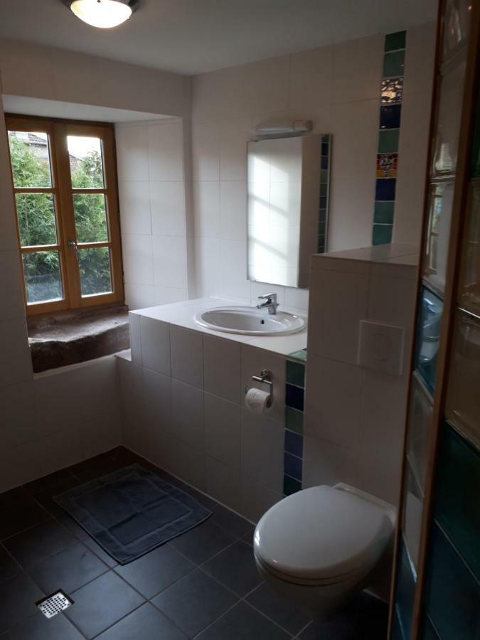 Serendipity Bed&Breakfast Saint-Die-des-Vosges Екстериор снимка