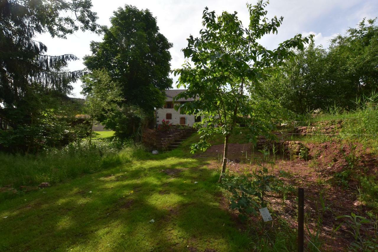 Serendipity Bed&Breakfast Saint-Die-des-Vosges Екстериор снимка