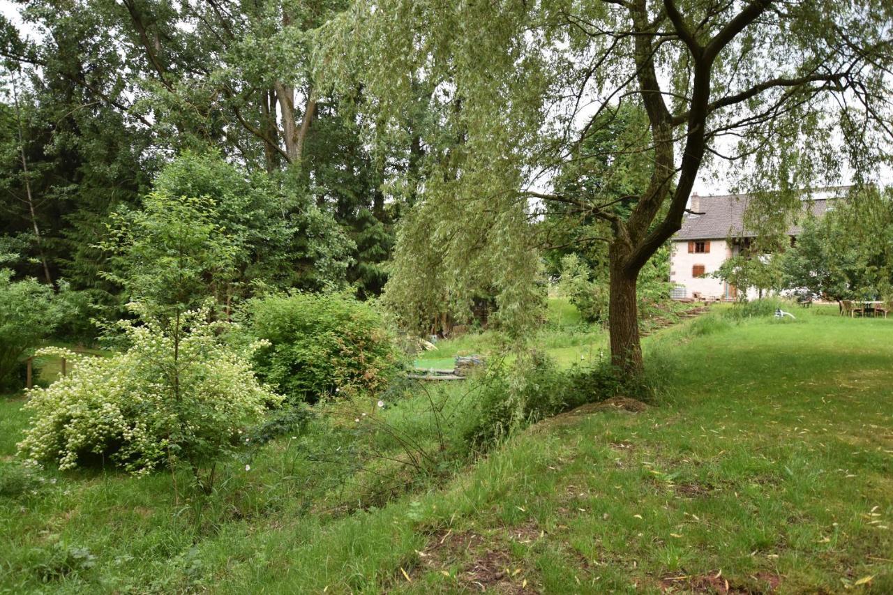Serendipity Bed&Breakfast Saint-Die-des-Vosges Екстериор снимка